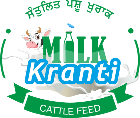 Milk Kranti Cattle Feed